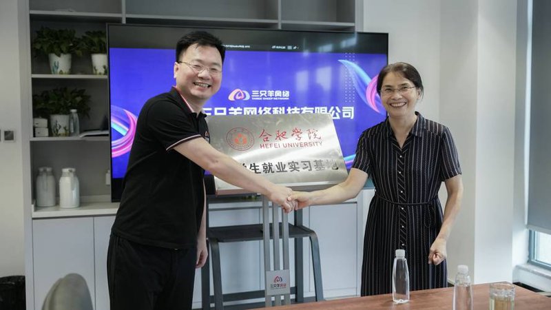 网络方案设计：构建高效信息高速公路